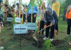 Pramuka tanam Pohon Bambu di RTH Eco Bamboo Park Magetan